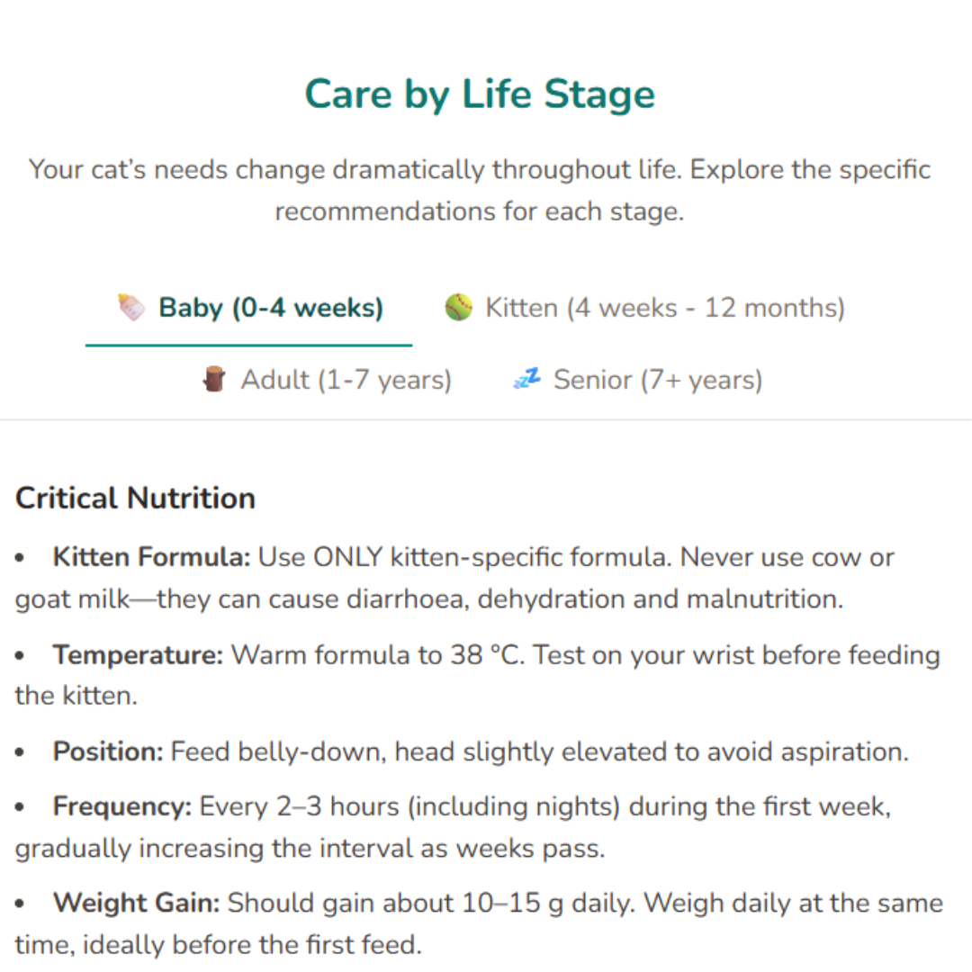Felinity - Interactive Cat Care Guide