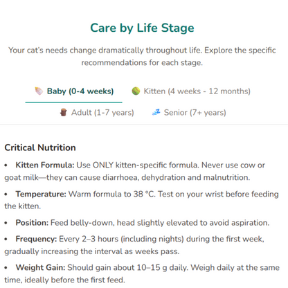 Felinity - Interactive Cat Care Guide