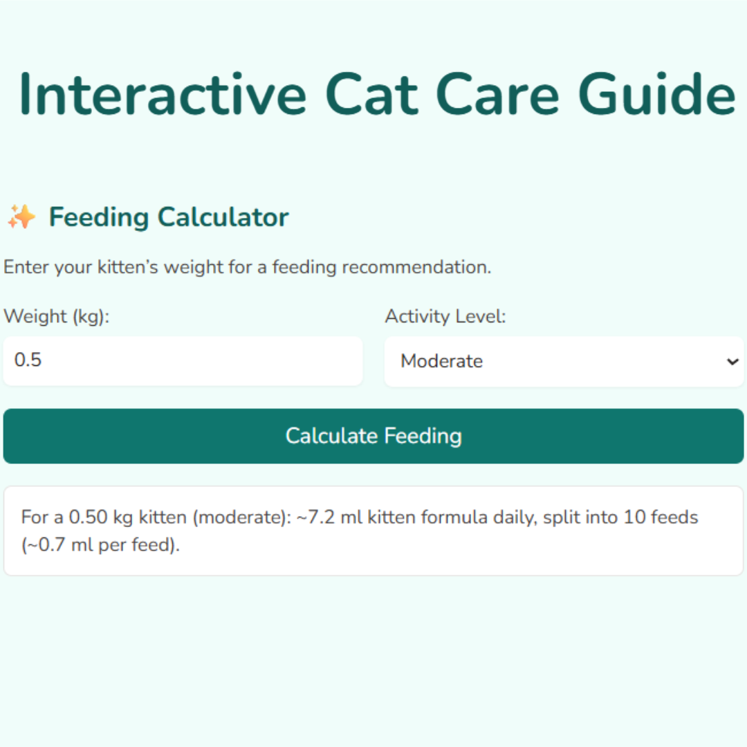 Felinity - Interactive Cat Care Guide
