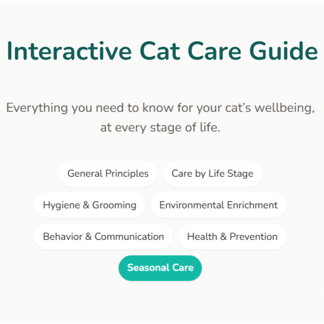 Felinity - Interactive Cat Care Guide
