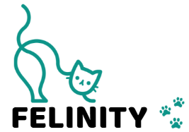Felinity