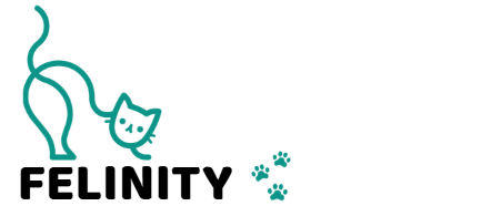 Felinity